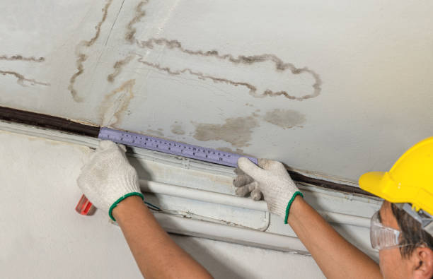 Reliable Flood Cleanup contractor in Corsica, SD by Water Damage Irwin